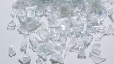 read Next steps in PET recycling